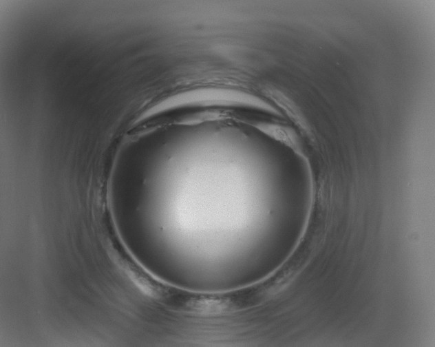 X0000083020449200702091321
