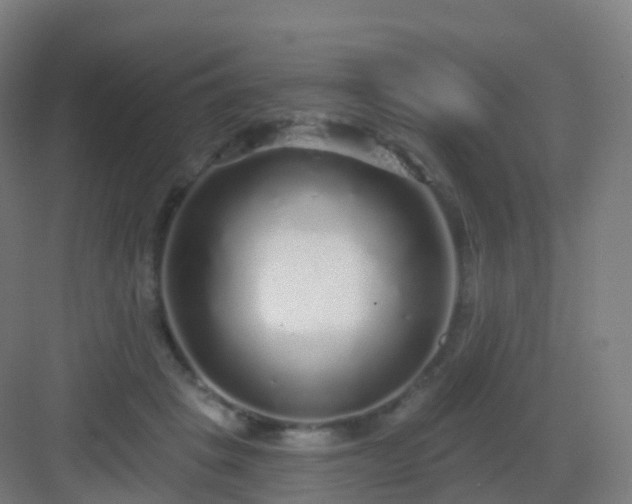 X0000083020457200702091321
