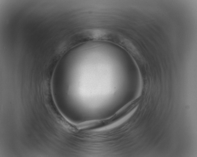 X0000083020461200702091321