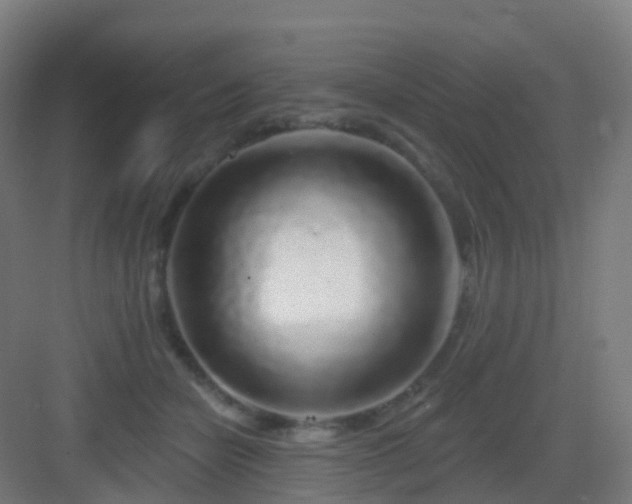 X0000083020462200702091321
