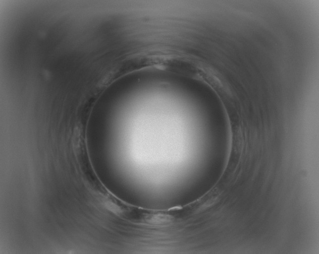 X0000083020463200702091321