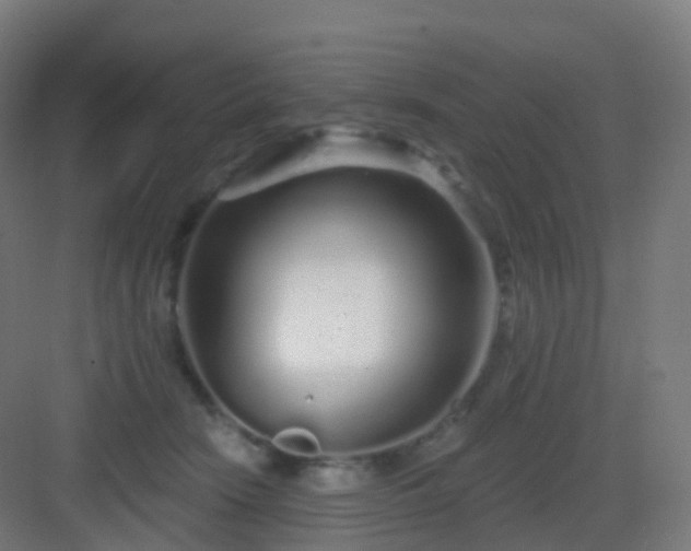 X0000083020466200702091321