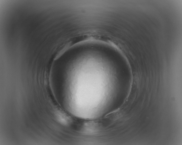 X0000083020470200702091321