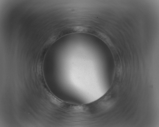 X0000083020473200702091322