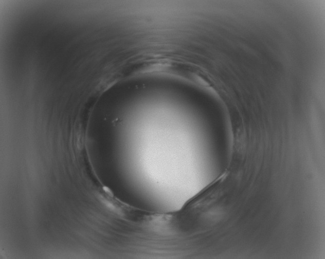 X0000083020474200702091322