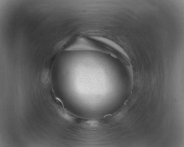 X0000083020478200702091322
