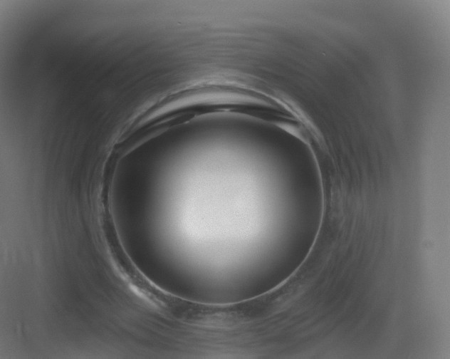 X0000083020485200702091321