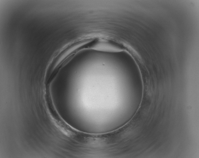 X0000083020486200702091321