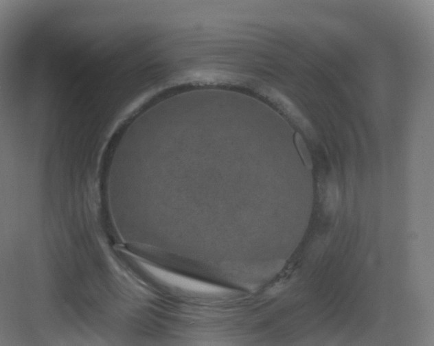 X0000083020488200702091321