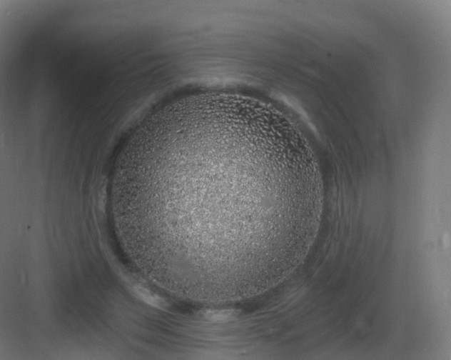 X0000083020495200702091321