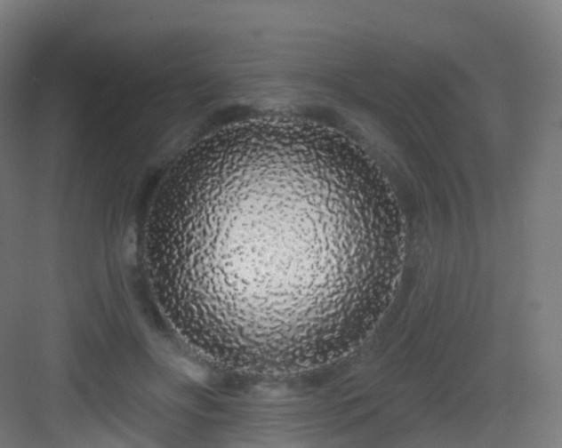 X0000083020502200702091320