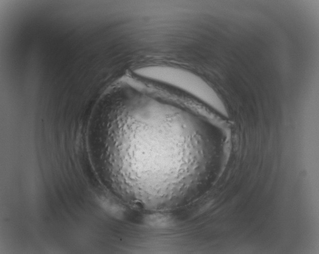 X0000083020511200702091320