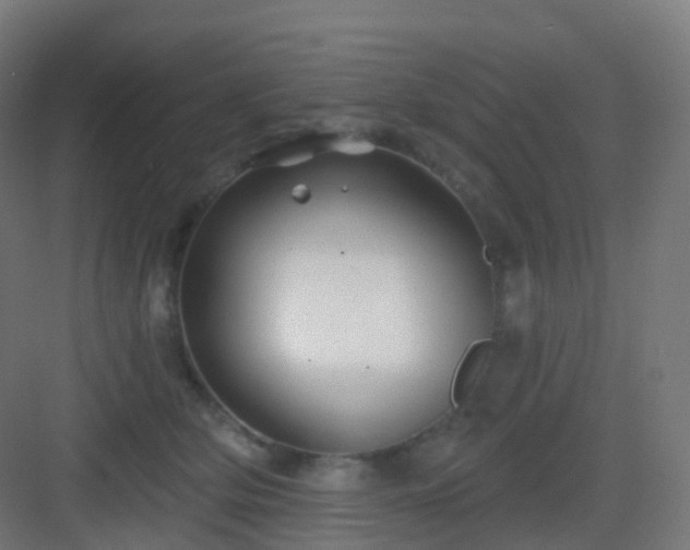X0000083020514200702091320
