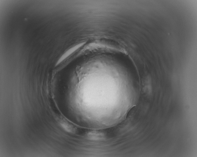 X0000083020515200702091320
