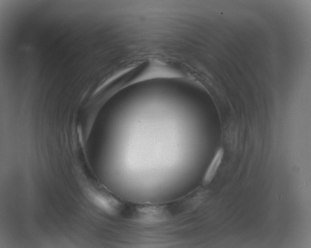 X0000083020516200702091320