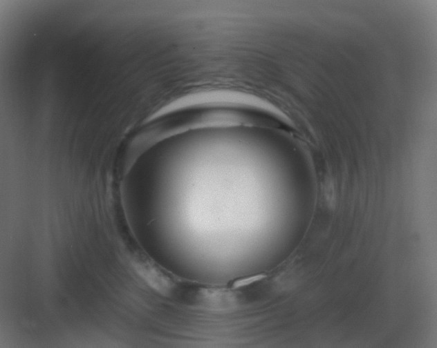 X0000083020520200702091320