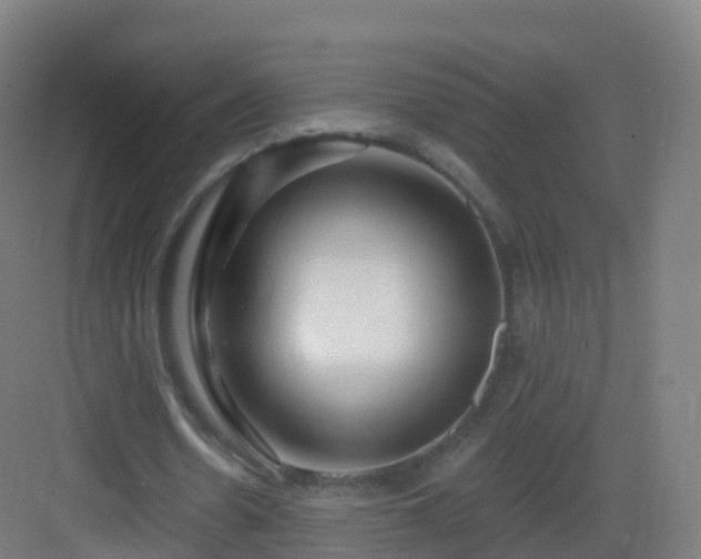 X0000083020530200702091319