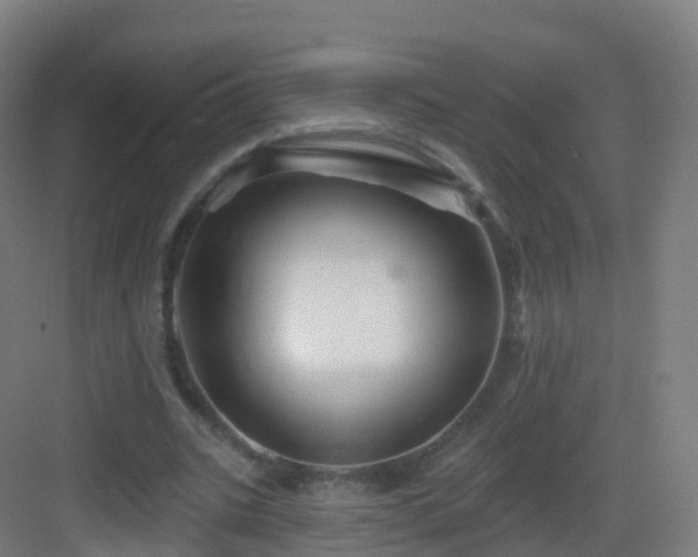 X0000083020535200702091319