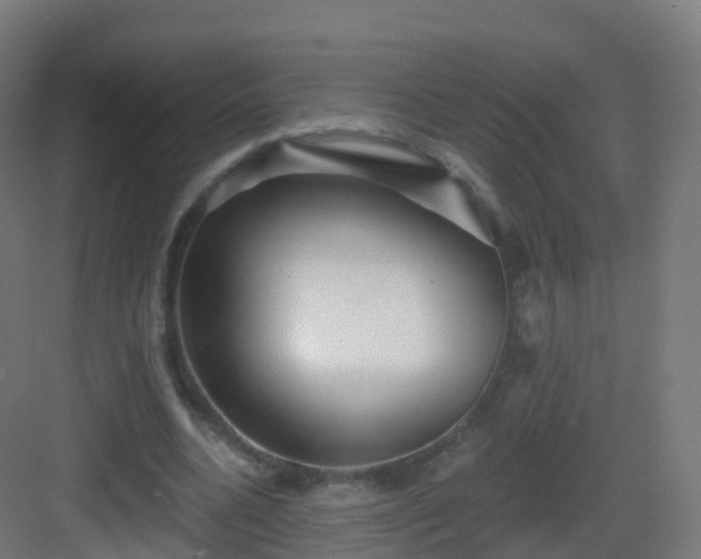 X0000083020536200702091319