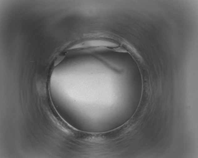 X0000083020537200702091319