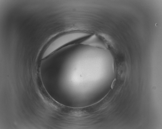 X0000083020540200702091319