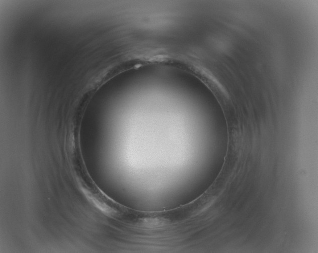 X0000083020541200702091319