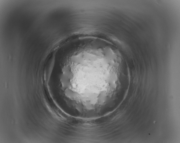 X0000083020542200702091319
