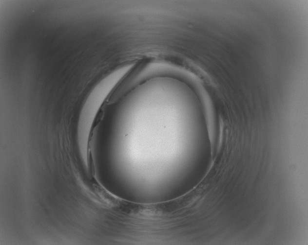 X0000083020546200702091320