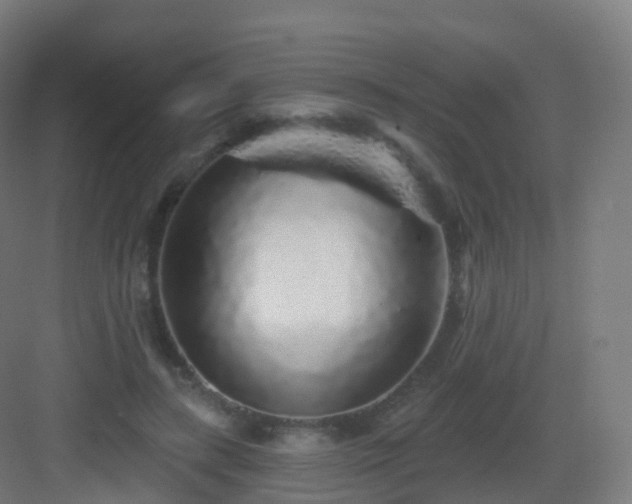 X0000083020547200702091320