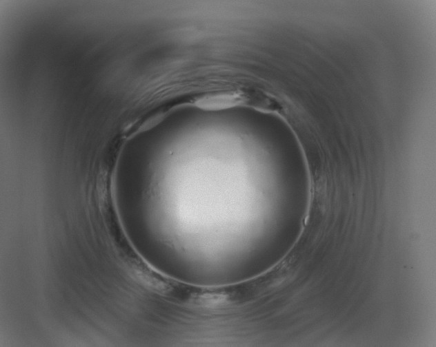 X0000083020554200702091320
