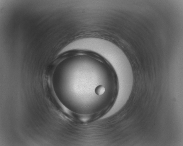X0000083020558200702091320