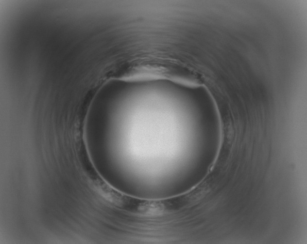 X0000083020559200702091320