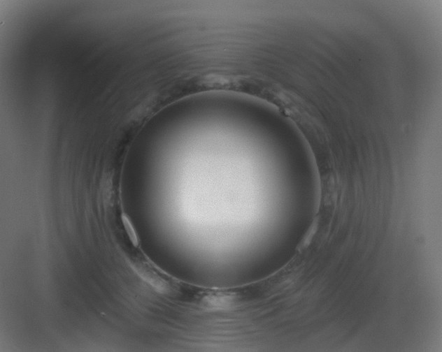 X0000083020560200702091320