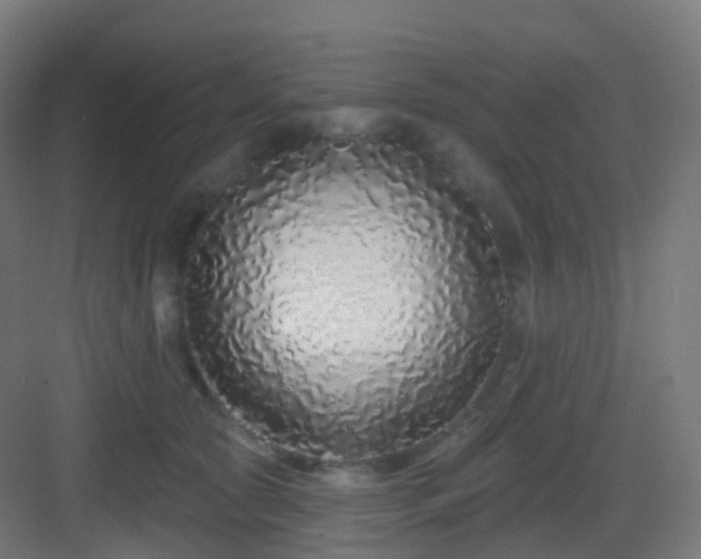 X0000083020561200702091320