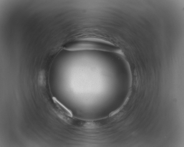 X0000083020562200702091320