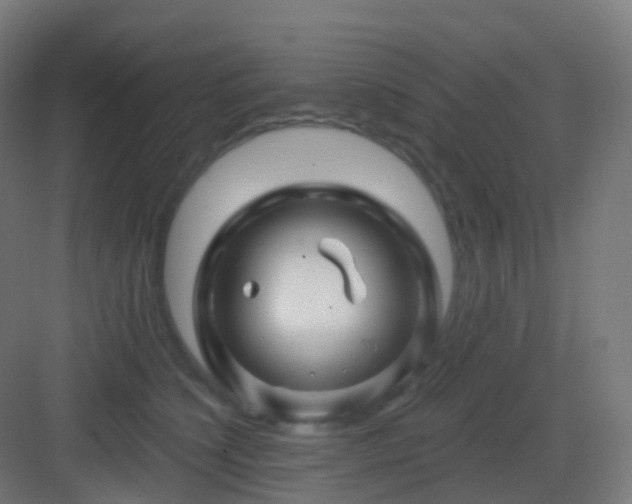 X0000083020564200702091320