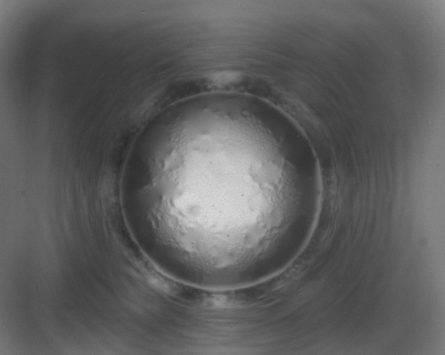 X0000083020565200702091320