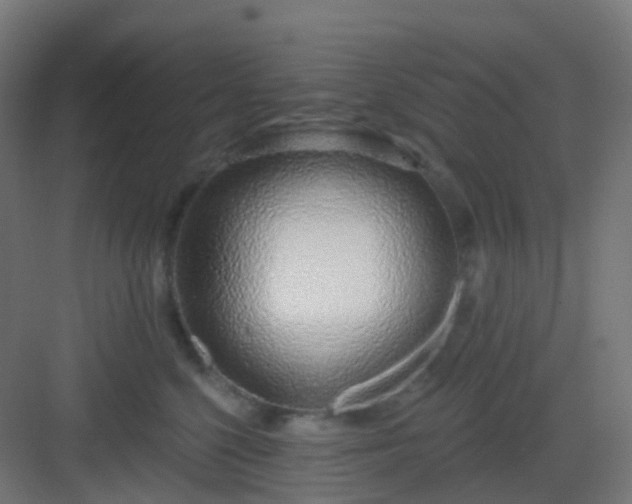X0000083020568200702091320