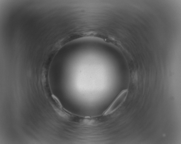 X0000083020570200702091320