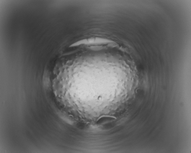 X0000083020573200702091320