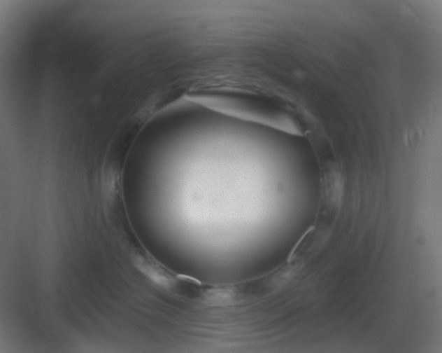 X0000083020574200702091320