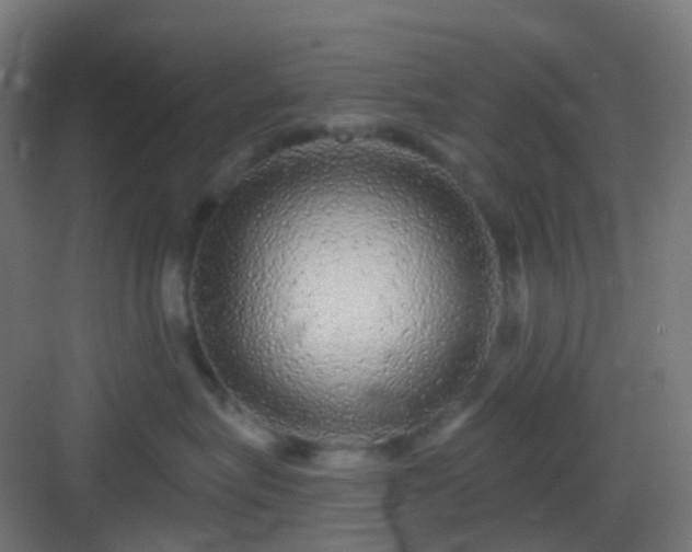 X0000083020575200702091320