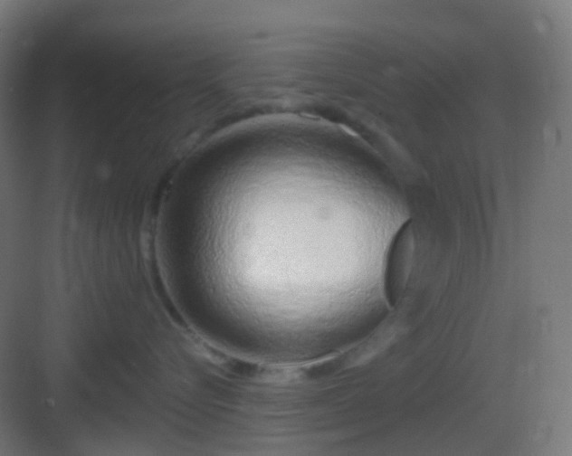 X0000083020576200702091320
