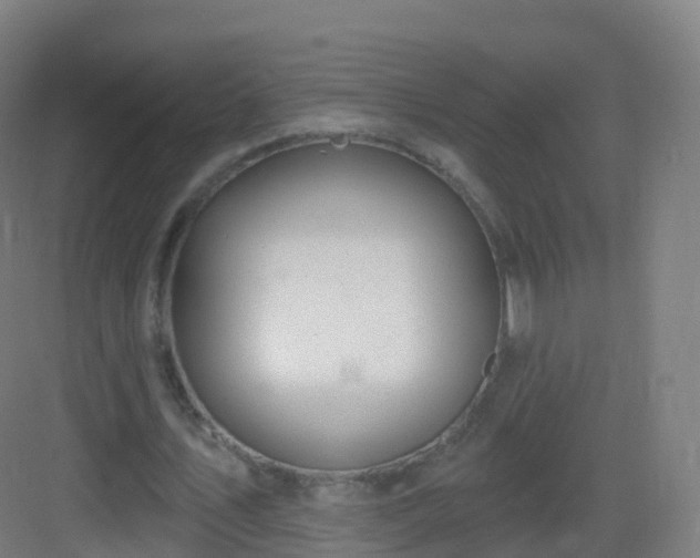 X0000083020579200702091319