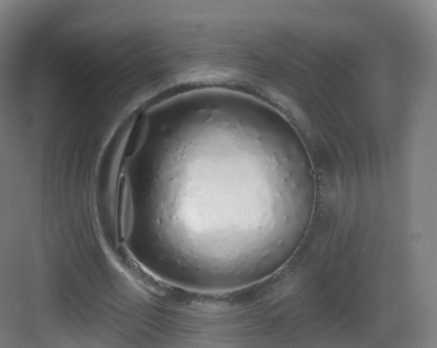 X0000083020582200702091319