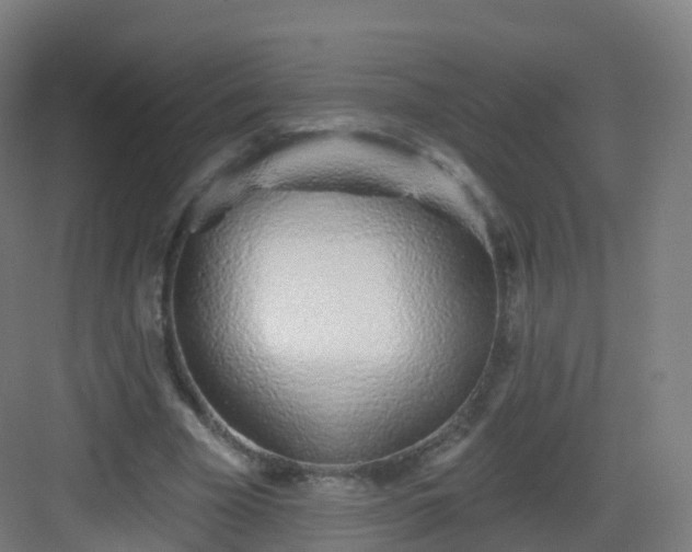 X0000083020585200702091319
