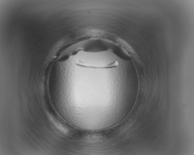 X0000083020586200702091319