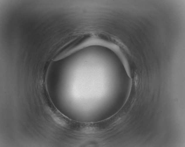 X0000083020593200702091319
