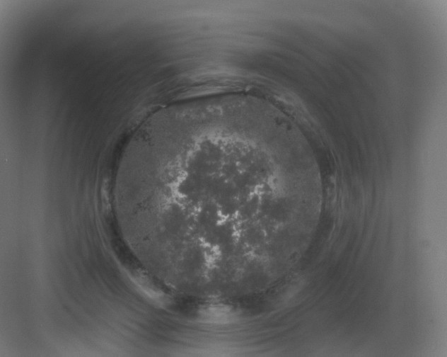 X0000083020598200702091319
