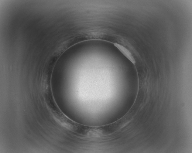 X0000083020599200702091319